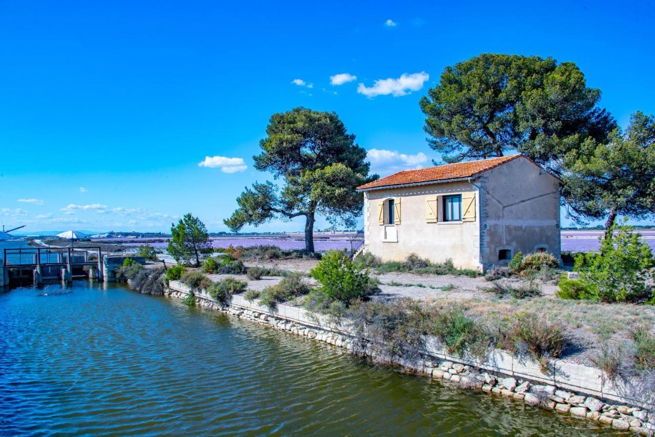 Mas De Colomina Aigues-Mortes Villa Eksteriør bilde
